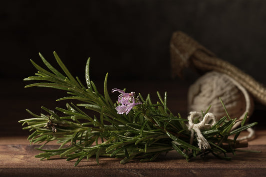 From Roots to Radiance: Why Jailyne’s Magic Drop Serum Is the Secret to Stronger-Looking, Fuller-Appearing Hair