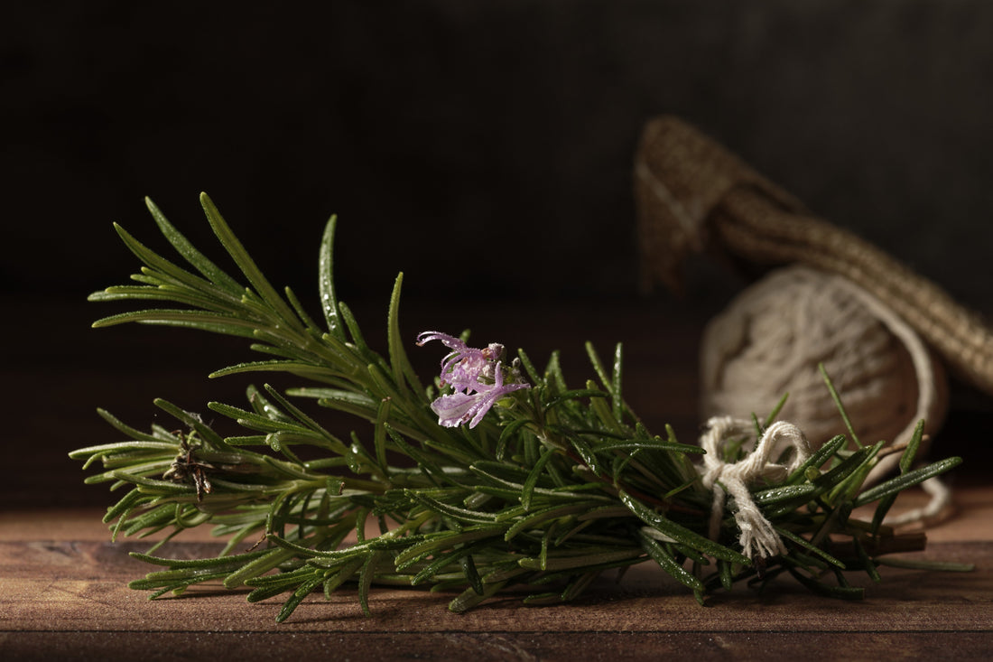 From Roots to Radiance: Why Jailyne’s Magic Drop Serum Is the Secret to Stronger-Looking, Fuller-Appearing Hair